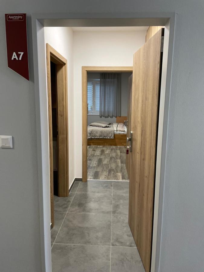 Andelska Apartment